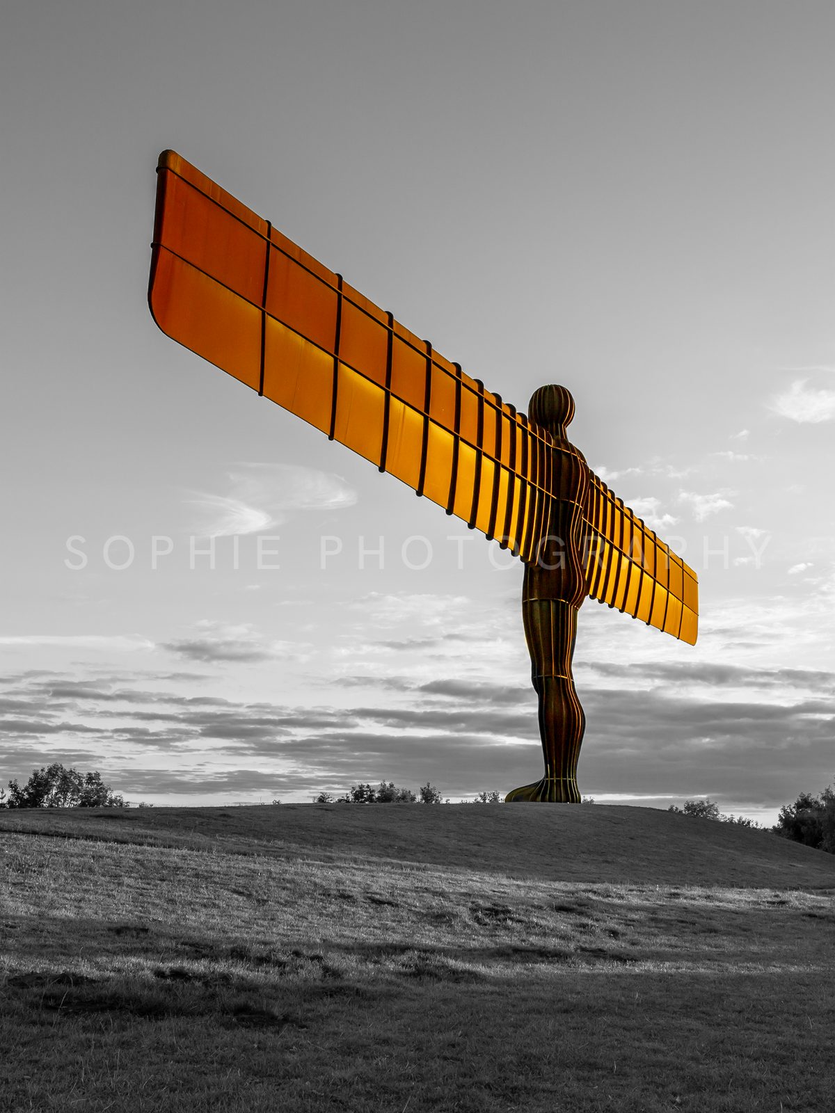 Angel of the North Colour Pop