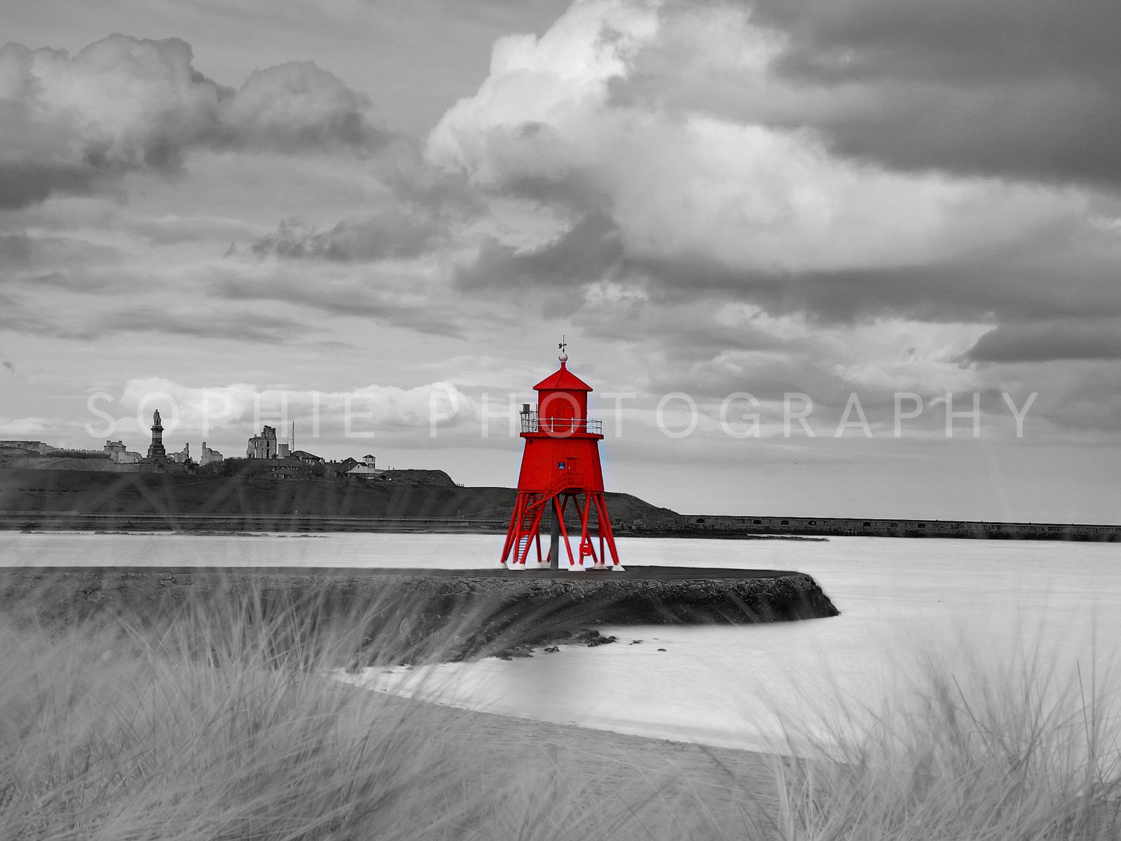 Herd Groyne Colour Pop