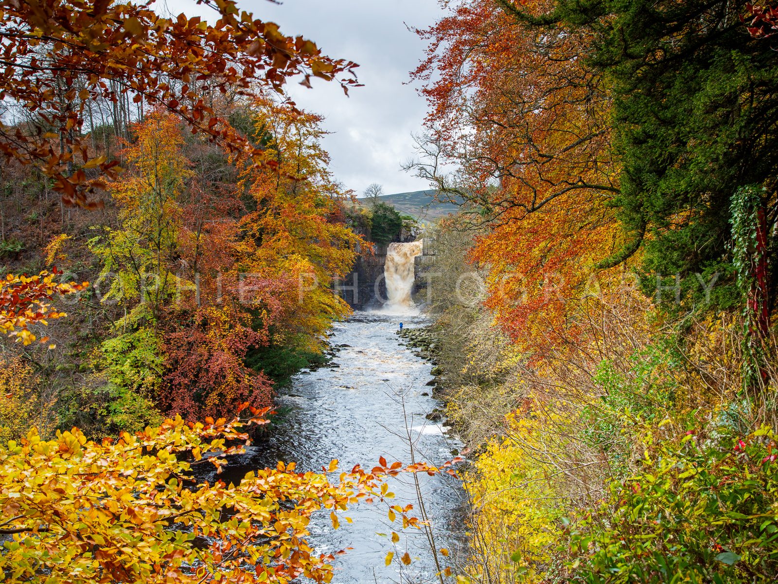 High Force in Autumn