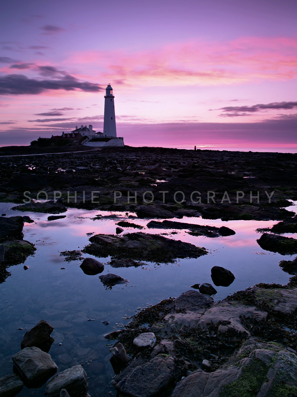 St Mary's Lighthouse Twilight Pools