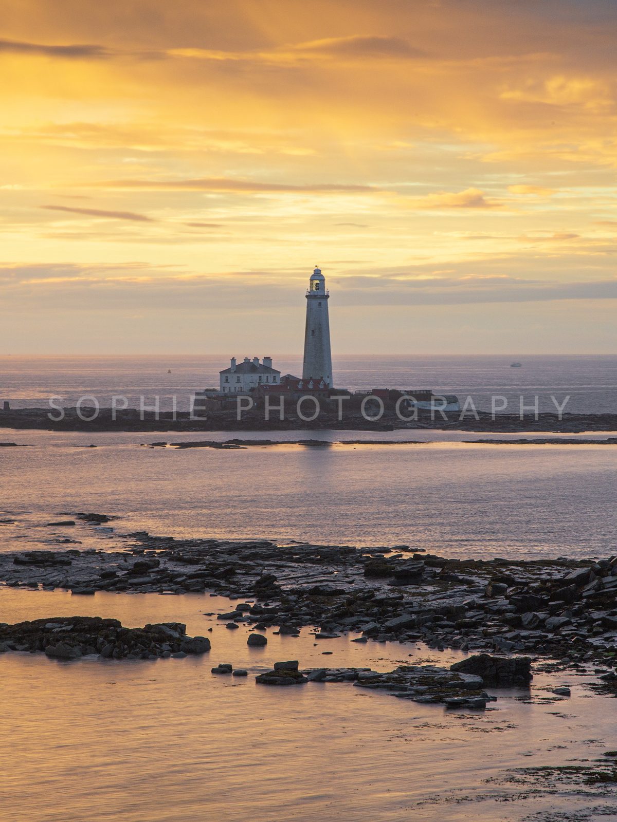 St Mary's Lighthouse Golden Hour