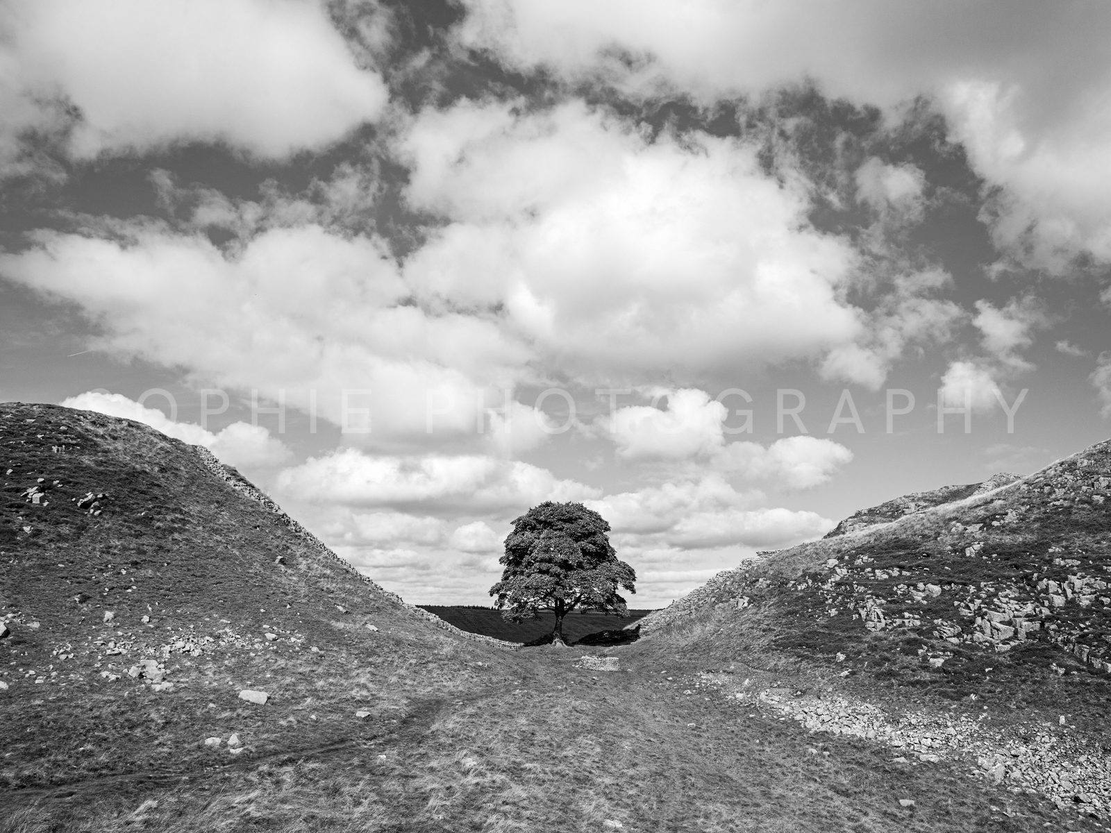 Sycamore Gap Cloudscape