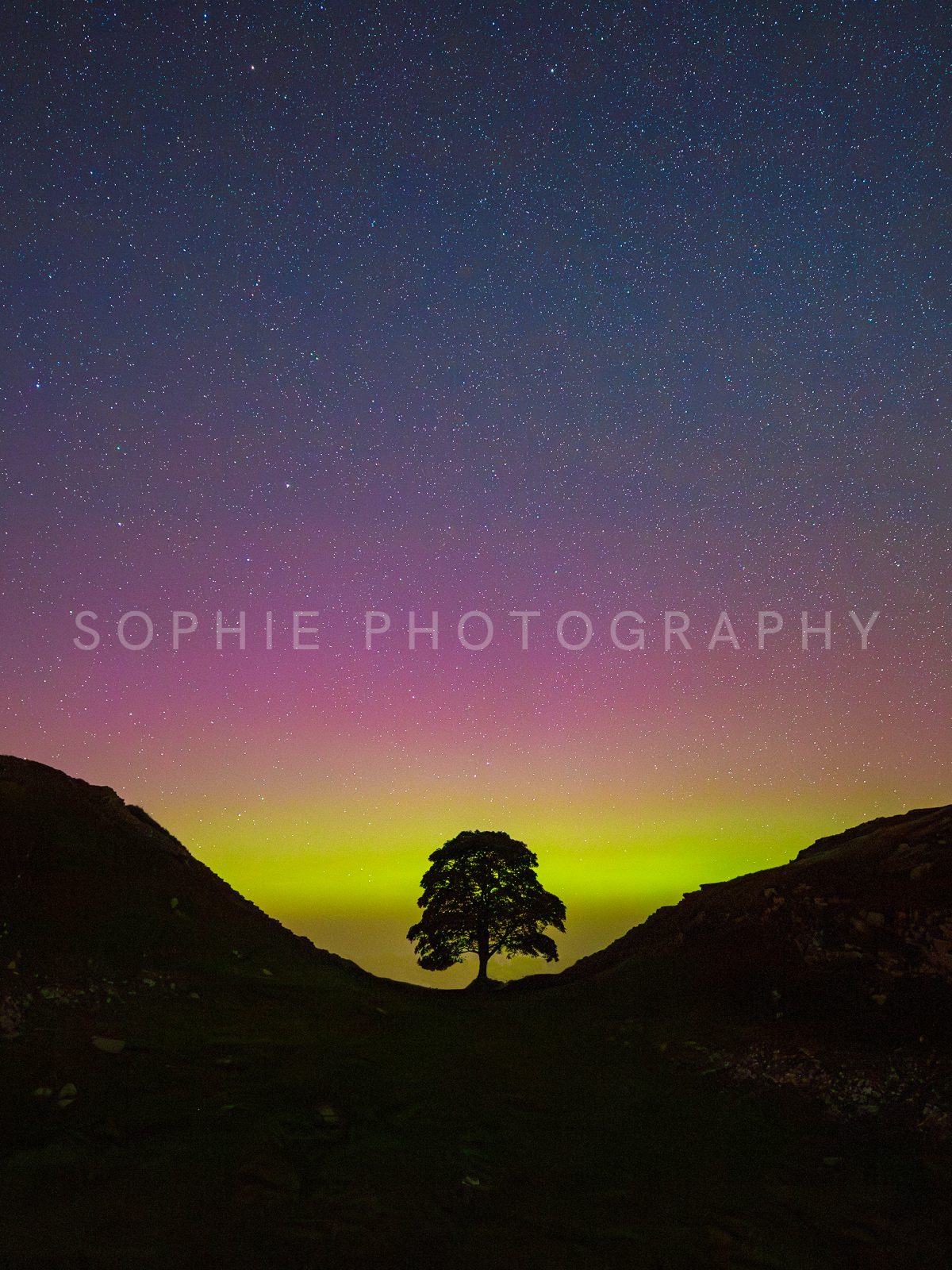 Sycamore Gap Northern Lights