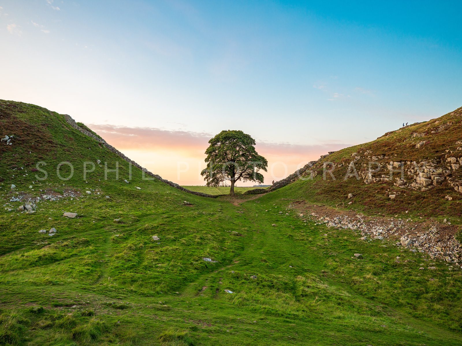 Sycamore Gap Sunset