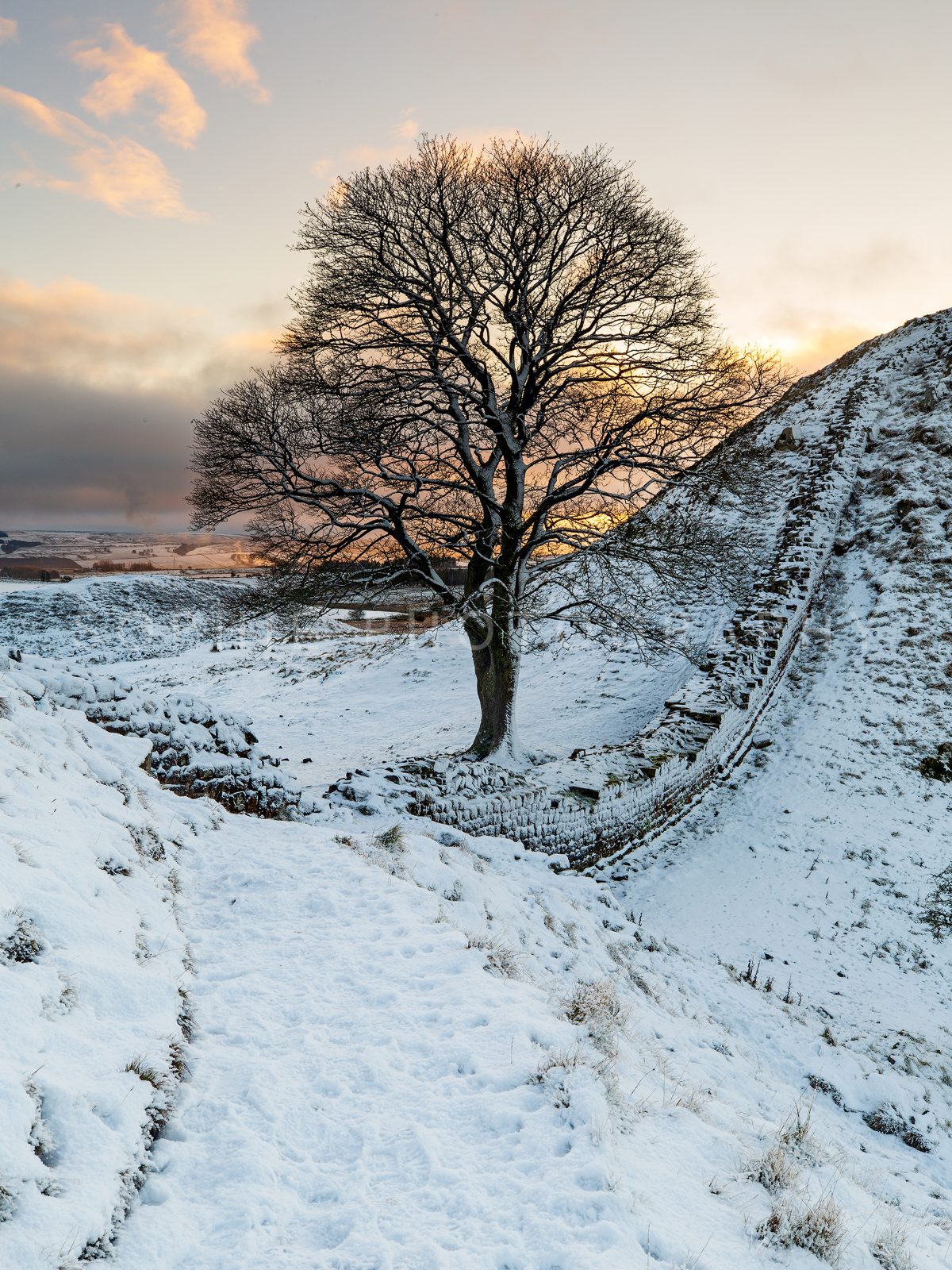 Sycamore Gap in the Snow