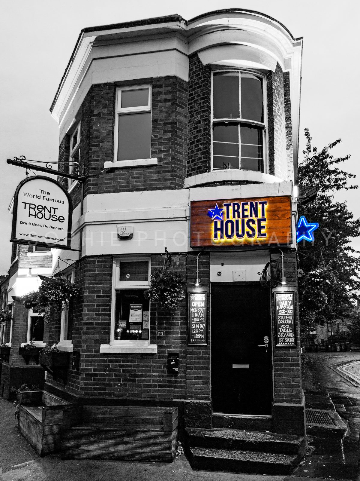Trent House Colour Pop
